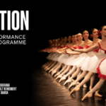 High Performance Programme in Dance - Online Audition